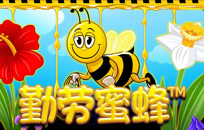 澳门资料大全